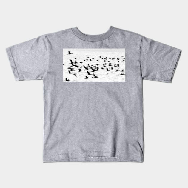 Birds in motion - flight. Kids T-Shirt by brians101